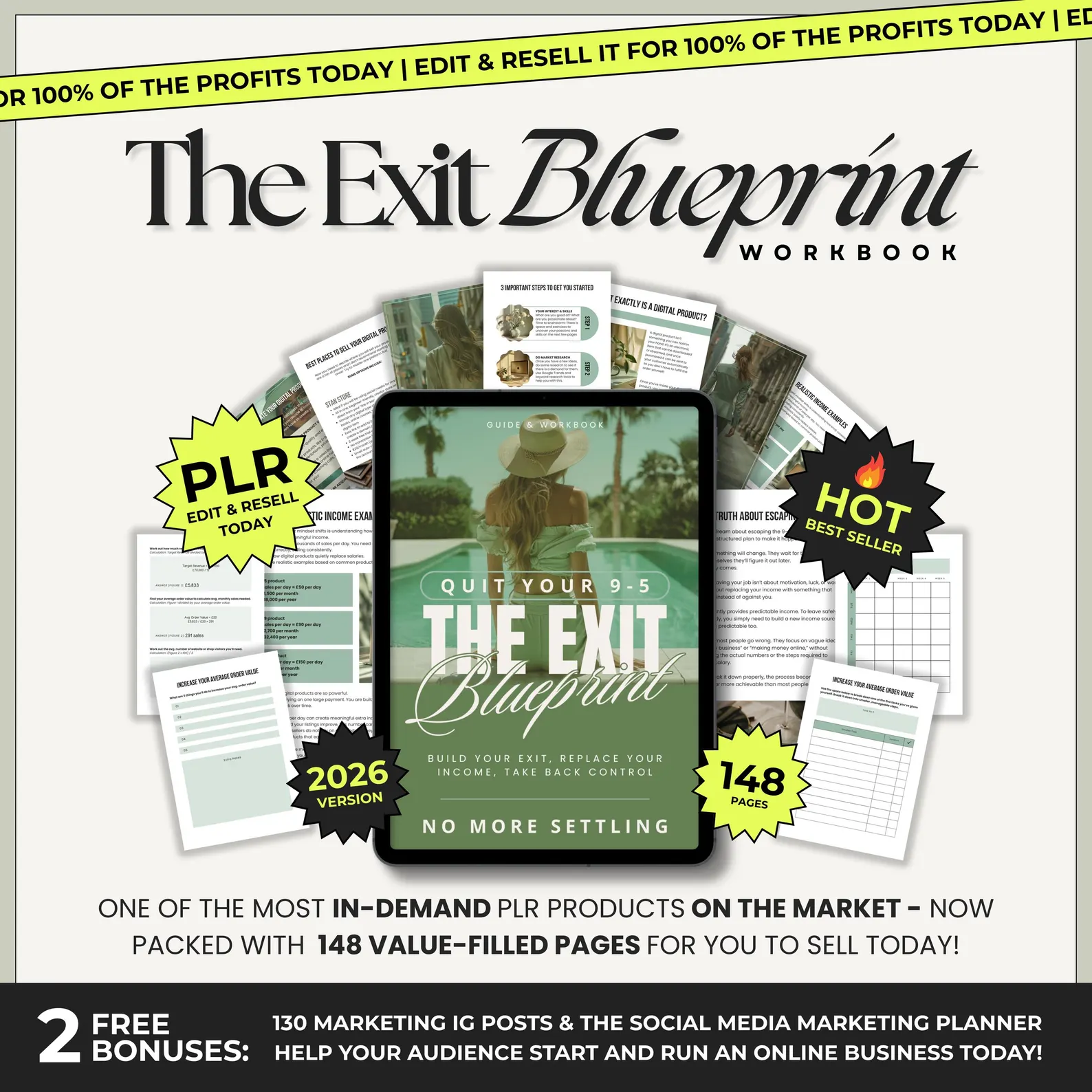 Quit Your 9-5 PLR Workbook for Financial Freedom, Digital Product Guide with Resell Rights, Passive Income Action Plan, Entrepreneur Ebook